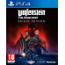 Wolfenstein Youngblood Deluxe Edition PS4