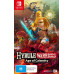 Hyrule Warriors Age of Calamity Switch 