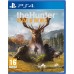 The Hunter: Call of the Wild PS4